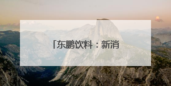 东鹏饮料：新消费浪潮下的民族品牌突围之路