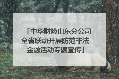 中华财险山东分公司全省联动开展防范非法金融活动专题宣传