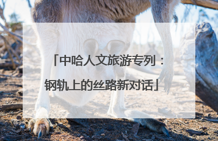 中哈人文旅游专列：钢轨上的丝路新对话
