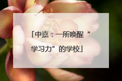中嘉：一所唤醒“学习力”的学校