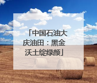 中国石油大庆油田：黑金沃土绽绿颜