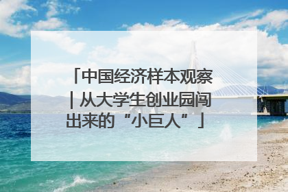 中国经济样本观察｜从大学生创业园闯出来的“小巨人”