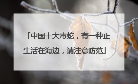中国十大毒蛇，有一种正生活在海边，请注意防范