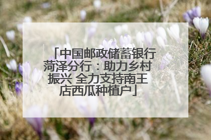 中国邮政储蓄银行菏泽分行：助力乡村振兴 全力支持南王店西瓜种植户