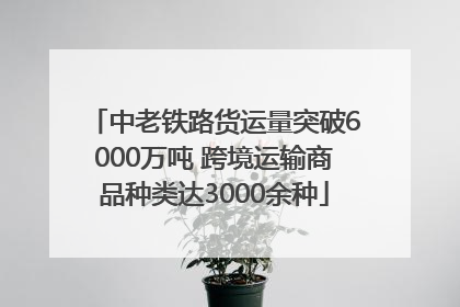 中老铁路货运量突破6000万吨 跨境运输商品种类达3000余种