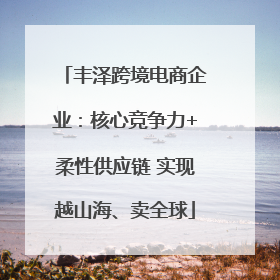 丰泽跨境电商企业：核心竞争力+柔性供应链 实现越山海、卖全球