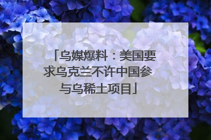 乌媒爆料：美国要求乌克兰不许中国参与乌稀土项目