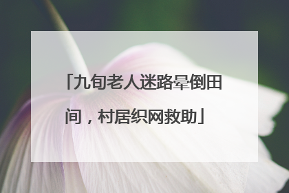 九旬老人迷路晕倒田间，村居织网救助