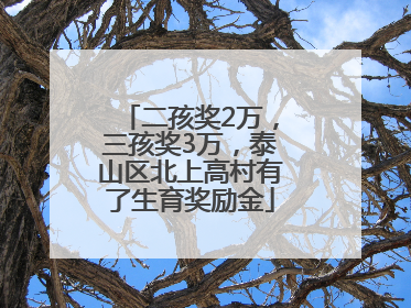 二孩奖2万，三孩奖3万，泰山区北上高村有了生育奖励金