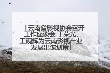 云南省影视协会召开工作座谈会 于荣光、王砚辉为云南影视产业发展出谋划策