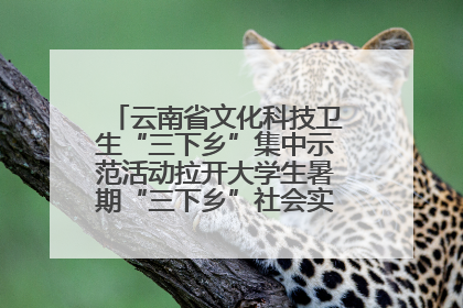 云南省文化科技卫生“三下乡”集中示范活动拉开大学生暑期“三下乡”社会实践活动序幕