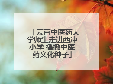 云南中医药大学师生走进西冲小学 播撒中医药文化种子