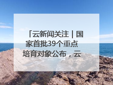 云新闻关注｜国家首批39个重点培育对象公布，云南有3个