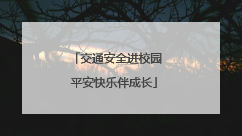 交通安全进校园 平安快乐伴成长
