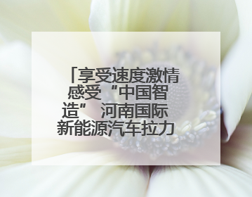 享受速度激情 感受“中国智造” 河南国际新能源汽车拉力赛8月启幕