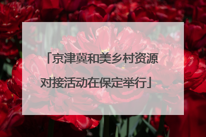 京津冀和美乡村资源对接活动在保定举行