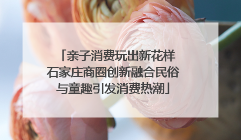 亲子消费玩出新花样 石家庄商圈创新融合民俗与童趣引发消费热潮