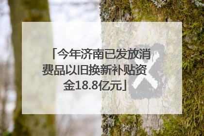 今年济南已发放消费品以旧换新补贴资金18.8亿元