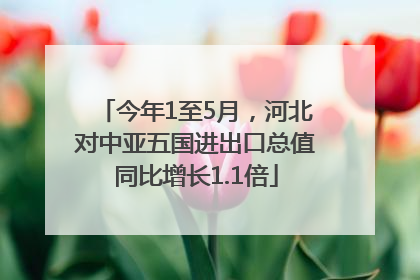 今年1至5月，河北对中亚五国进出口总值同比增长1.1倍
