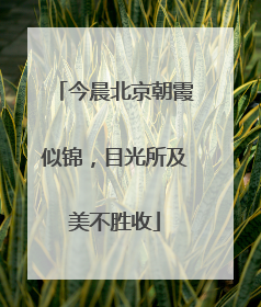 今晨北京朝霞似锦，目光所及美不胜收