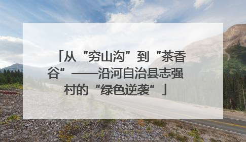 从“穷山沟”到“茶香谷”——沿河自治县志强村的“绿色逆袭”