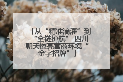 从“精准滴灌”到“全链护航” 四川朝天擦亮营商环境“金字招牌”