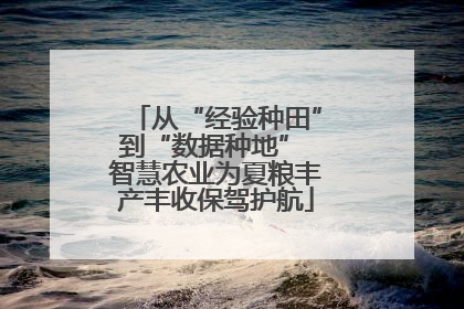 从“经验种田”到“数据种地” 智慧农业为夏粮丰产丰收保驾护航