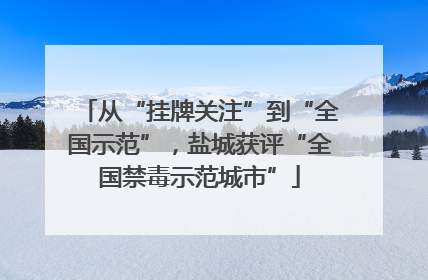从“挂牌关注”到“全国示范”，盐城获评“全国禁毒示范城市”