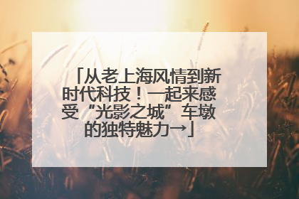 从老上海风情到新时代科技！一起来感受“光影之城”车墩的独特魅力→
