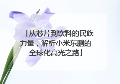 从芯片到饮料的民族力量，解析小米东鹏的全球化高光之路