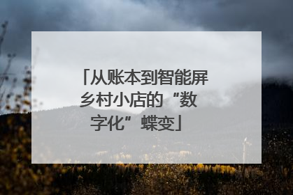 从账本到智能屏 乡村小店的“数字化”蝶变