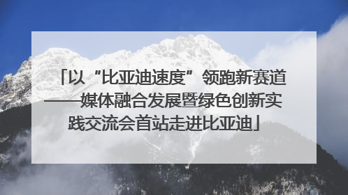 以“比亚迪速度”领跑新赛道——媒体融合发展暨绿色创新实践交流会首站走进比亚迪
