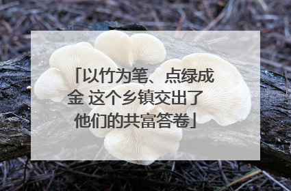 以竹为笔、点绿成金 这个乡镇交出了他们的共富答卷