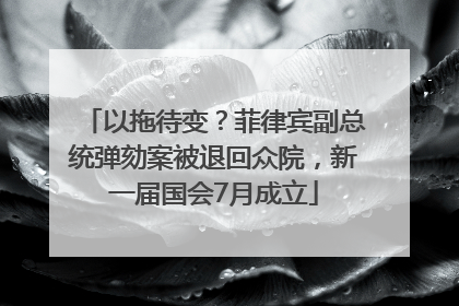 以拖待变？菲律宾副总统弹劾案被退回众院，新一届国会7月成立