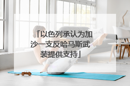 以色列承认为加沙一支反哈马斯武装提供支持