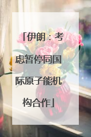 伊朗：考虑暂停同国际原子能机构合作