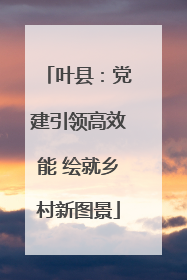 叶县：党建引领高效能 绘就乡村新图景