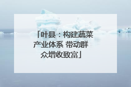 叶县：构建蔬菜产业体系 带动群众增收致富