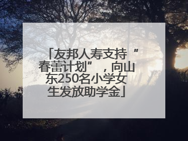 友邦人寿支持“春蕾计划”，向山东250名小学女生发放助学金