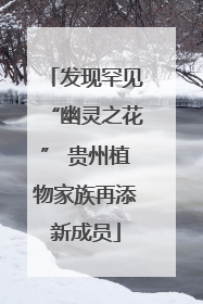 发现罕见“幽灵之花” 贵州植物家族再添新成员