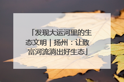 发现大运河里的生态文明｜扬州：让致富河流淌出好生态