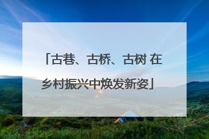 古巷、古桥、古树 在乡村振兴中焕发新姿