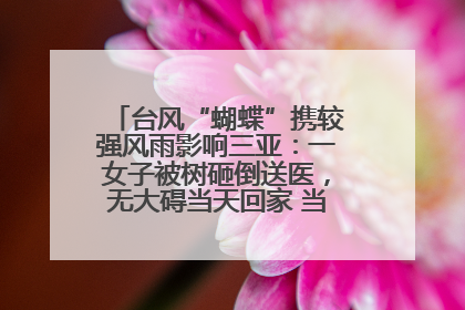 台风“蝴蝶”携较强风雨影响三亚：一女子被树砸倒送医，无大碍当天回家 当地已紧急清障