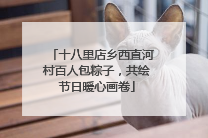 十八里店乡西直河村百人包粽子，共绘节日暖心画卷