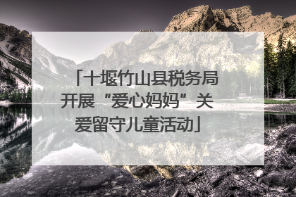 十堰竹山县税务局开展“爱心妈妈”关爱留守儿童活动