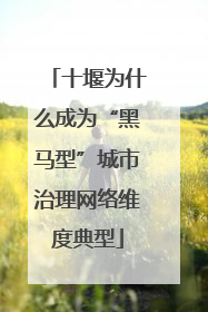 十堰为什么成为“黑马型”城市治理网络维度典型