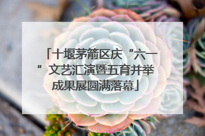 十堰茅箭区庆“六一”文艺汇演暨五育并举成果展圆满落幕