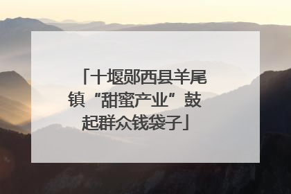 十堰郧西县羊尾镇“甜蜜产业”鼓起群众钱袋子