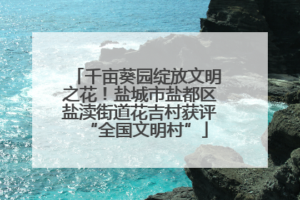 千亩葵园绽放文明之花！盐城市盐都区盐渎街道花吉村获评“全国文明村”