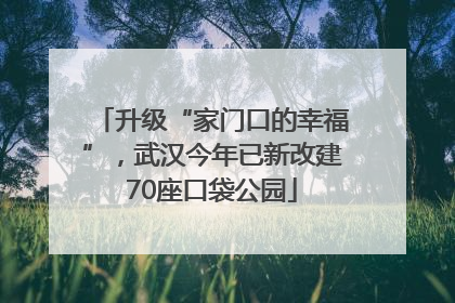 升级“家门口的幸福”，武汉今年已新改建70座口袋公园